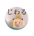 くまおおめ♪（個別スタンプ：7）
