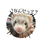 くまおおめ♪（個別スタンプ：8）