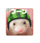 くまおおめ♪（個別スタンプ：10）