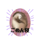 くまおおめ♪（個別スタンプ：14）