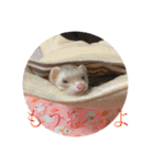 くまおおめ♪（個別スタンプ：15）