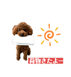 といぷーレイくん4（個別スタンプ：6）