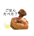 といぷーレイくん4（個別スタンプ：7）