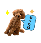 といぷーレイくん4（個別スタンプ：8）