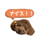 といぷーレイくん4（個別スタンプ：9）