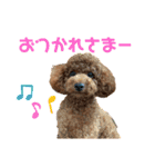 といぷーレイくん4（個別スタンプ：15）