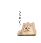 我が家のむーたんです（個別スタンプ：7）