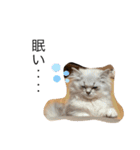 我が家のむーたんです（個別スタンプ：23）