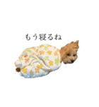 ぐりちゃんぐらちゃん。（個別スタンプ：15）