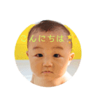わとくんだよ①（個別スタンプ：1）