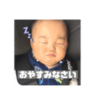 わとくんだよ①（個別スタンプ：13）