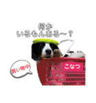 こなつ家の日常2（個別スタンプ：35）