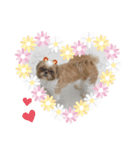 はーちゃんとめめちゃん（個別スタンプ：1）
