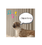 はーちゃんとめめちゃん（個別スタンプ：5）