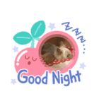 はーちゃんとめめちゃん（個別スタンプ：6）