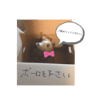 はーちゃんとめめちゃん（個別スタンプ：8）