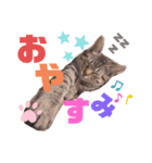 Tetoすた♡（個別スタンプ：6）