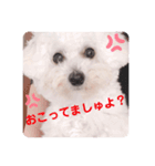 ましゅちゃんのすたんぷ（個別スタンプ：7）