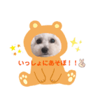 ましゅちゃんのすたんぷ（個別スタンプ：8）