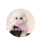 ましゅちゃんのすたんぷ（個別スタンプ：10）