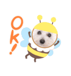 ましゅちゃんのすたんぷ（個別スタンプ：14）