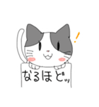 フリップねこ 日常会話（個別スタンプ：1）