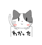 フリップねこ 日常会話（個別スタンプ：4）