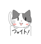 フリップねこ 日常会話（個別スタンプ：5）