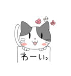 フリップねこ 日常会話（個別スタンプ：15）