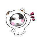 侍 コテツ（個別スタンプ：3）
