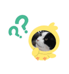 侍 コテツ（個別スタンプ：6）