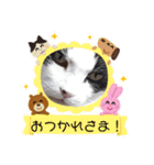侍 コテツ（個別スタンプ：15）