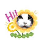 侍 コテツ（個別スタンプ：21）
