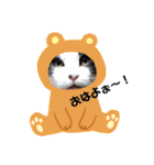 侍 コテツ（個別スタンプ：24）