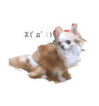 ペット！！（個別スタンプ：7）