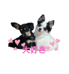 モモさん くぅーさん（個別スタンプ：1）