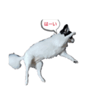 モモさん くぅーさん（個別スタンプ：5）