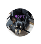 モモさん くぅーさん（個別スタンプ：13）