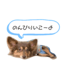 こたの1日（個別スタンプ：2）
