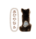 こたの1日（個別スタンプ：8）