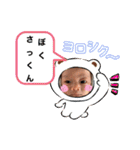 僕さっくん！！！（個別スタンプ：1）