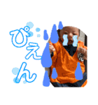 僕さっくん！！！（個別スタンプ：28）