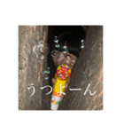 ほのあちゃんすたんぷ2（個別スタンプ：3）