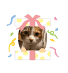 アベポンスタンプ #2（個別スタンプ：11）