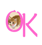 ご縁結び猫ゴエンちゃんパート2（個別スタンプ：18）