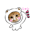 ご縁結び猫ゴエンちゃんパート2（個別スタンプ：21）