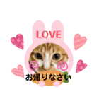 ご縁結び猫ゴエンちゃんパート2（個別スタンプ：23）