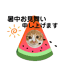 ご縁結び猫ゴエンちゃんパート2（個別スタンプ：33）