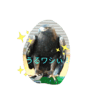 ZOOなかま（個別スタンプ：3）