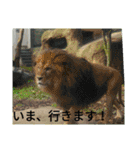 ZOOなかま（個別スタンプ：6）